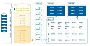 雅森科技陳暉 十年求索，探路醫(yī)療AI的上海實踐與需求邊界